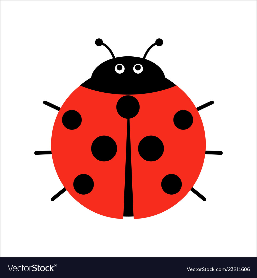 ladybug tape measure